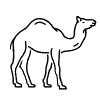 Small Camel Icon