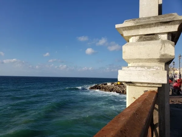 1 day tour to alexandria