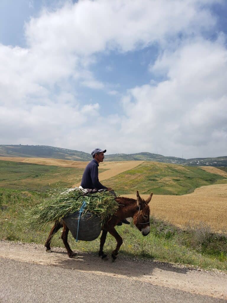 Local man riding a small donkey at Atlas Mountains