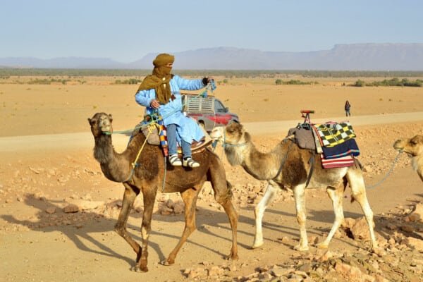 A local man guiding camels in Agafay Desert
