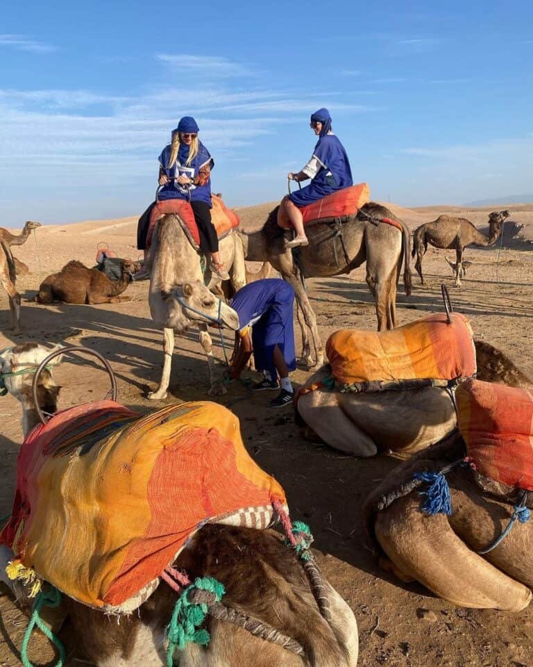 Resting camels and tourist at Agafay Desert