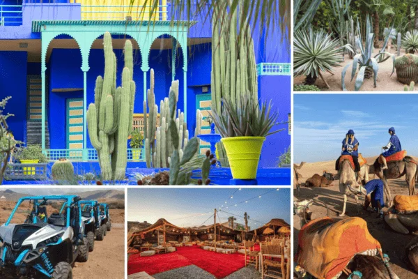 Photo composition of Majorelle Garden and Agafay Desert