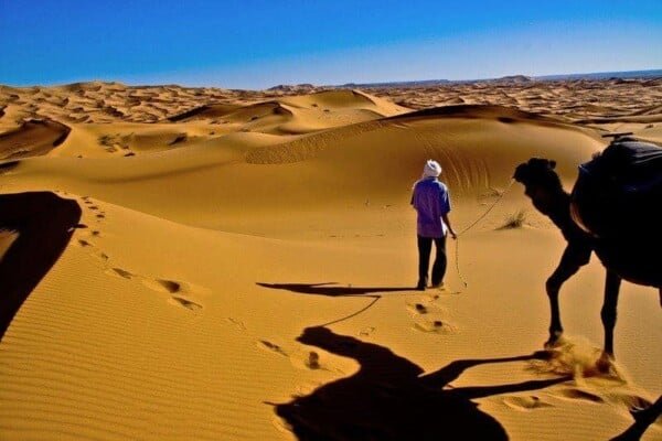 A local man with a camel at the Sahara Desert