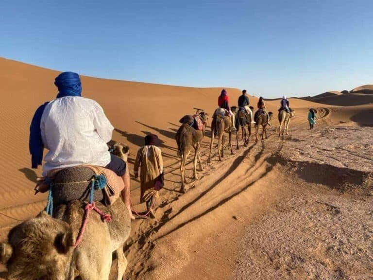 Camel Caravan at Sahara Desert