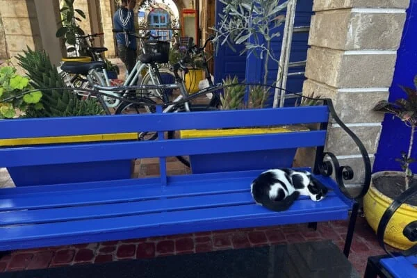 10 days tour Marrakech desert and essaouira