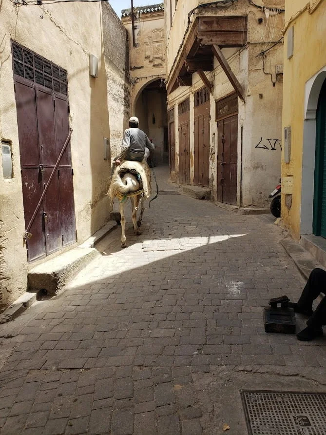 8 Days tour Casablanca Tangier to Marrakech