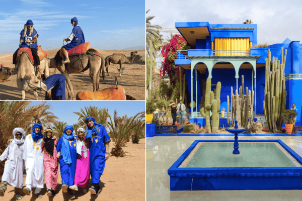 majorelle Garden and Palmeraie photo composition image