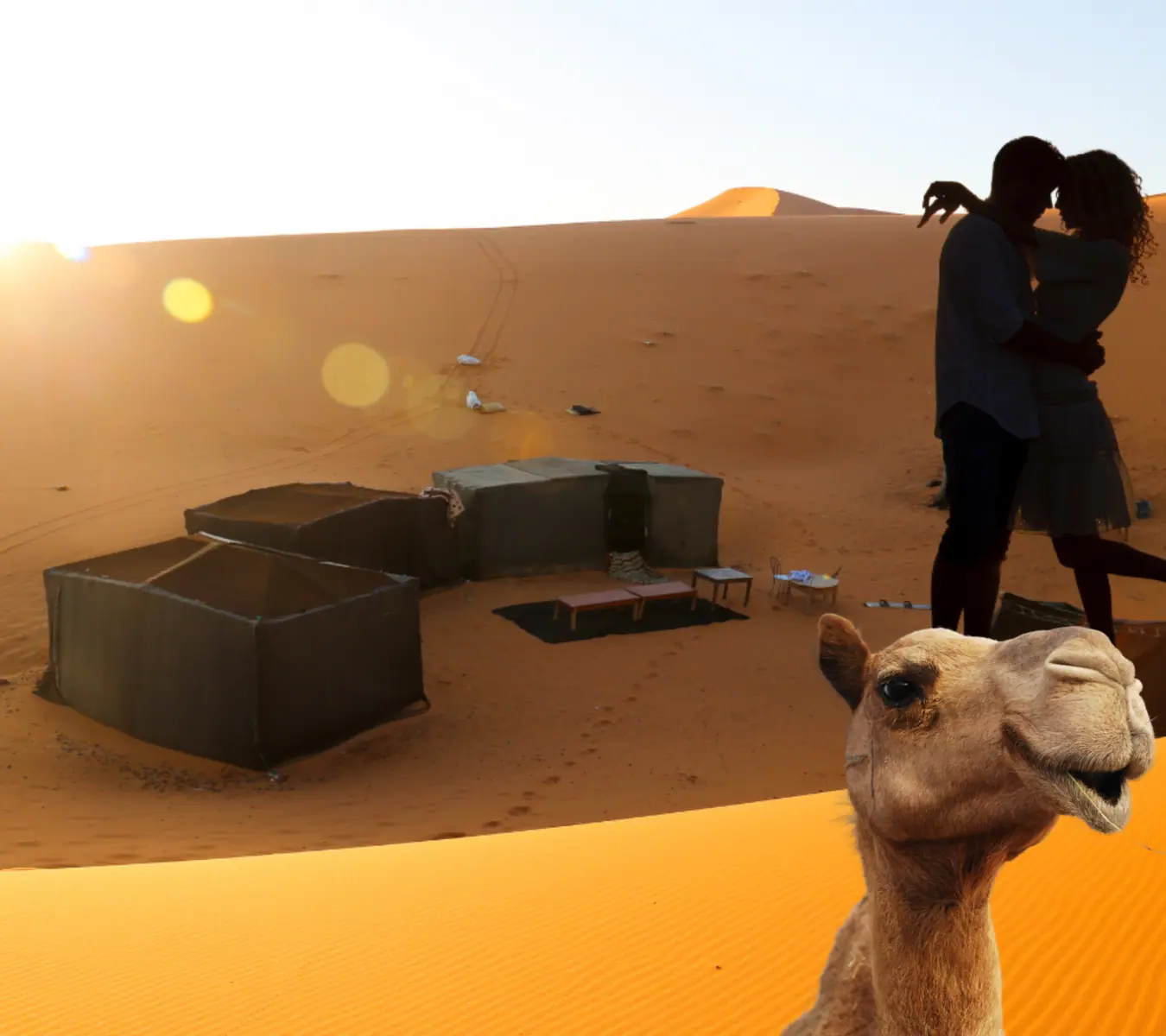 Romantic encounter at the Sahara Desert