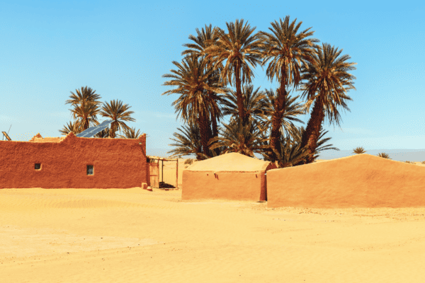 View of a desert area at souss massa, Morocco