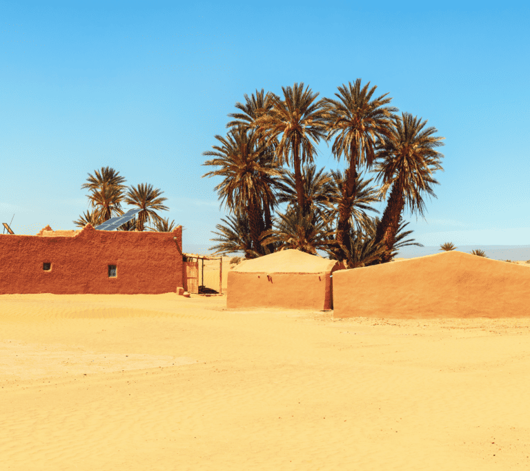 View of a desert area at souss massa, Morocco