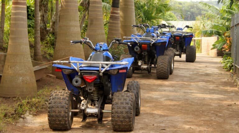 Aligned quad bikes at the marrakech Palmeraie